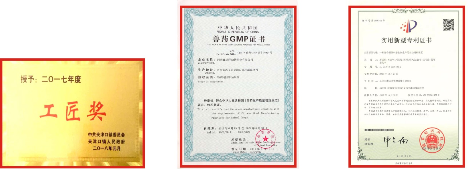 荣誉证书1