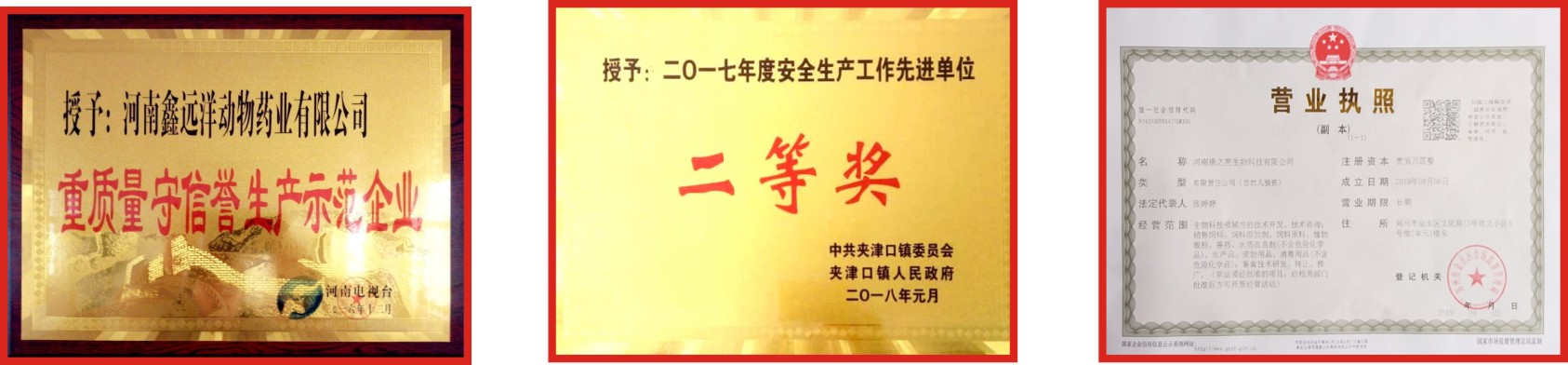 荣誉证书2