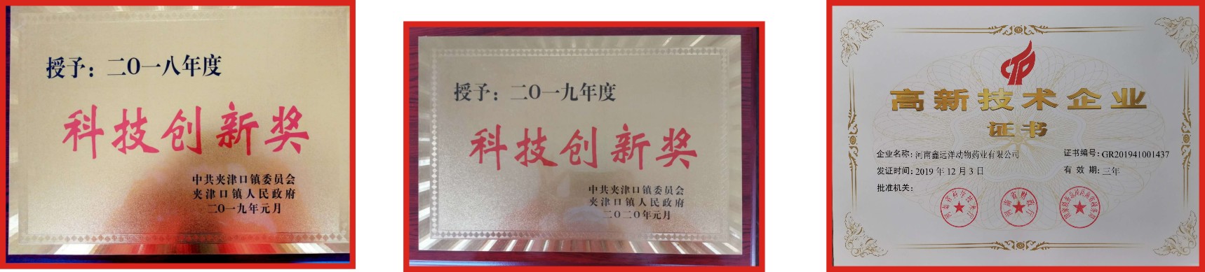 荣誉证书3