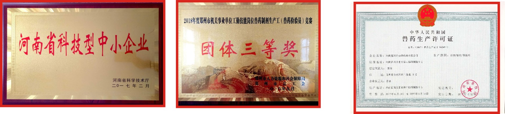 荣誉证书4
